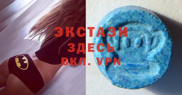 a pvp Каменка
