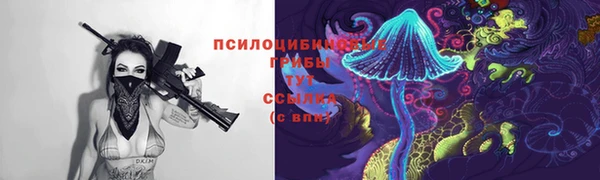 a pvp Каменка