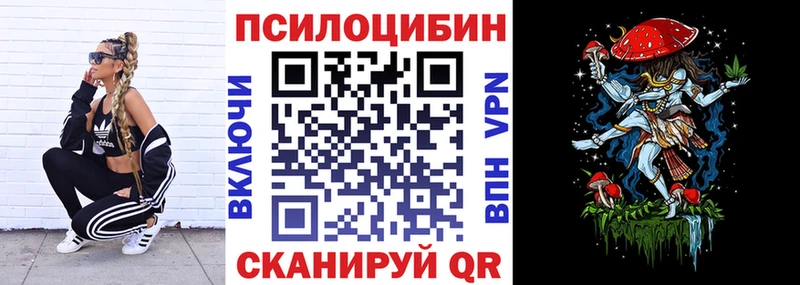 Купить  Белозерск  Псилоцибиновые грибы прущие грибы 